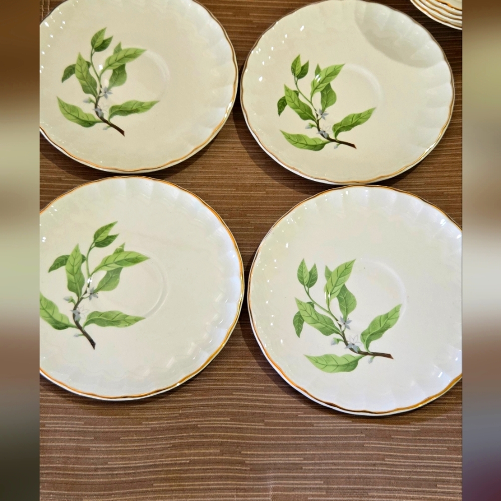 WS GEORGE Leaf Design Small China Saucers Set Of 4
